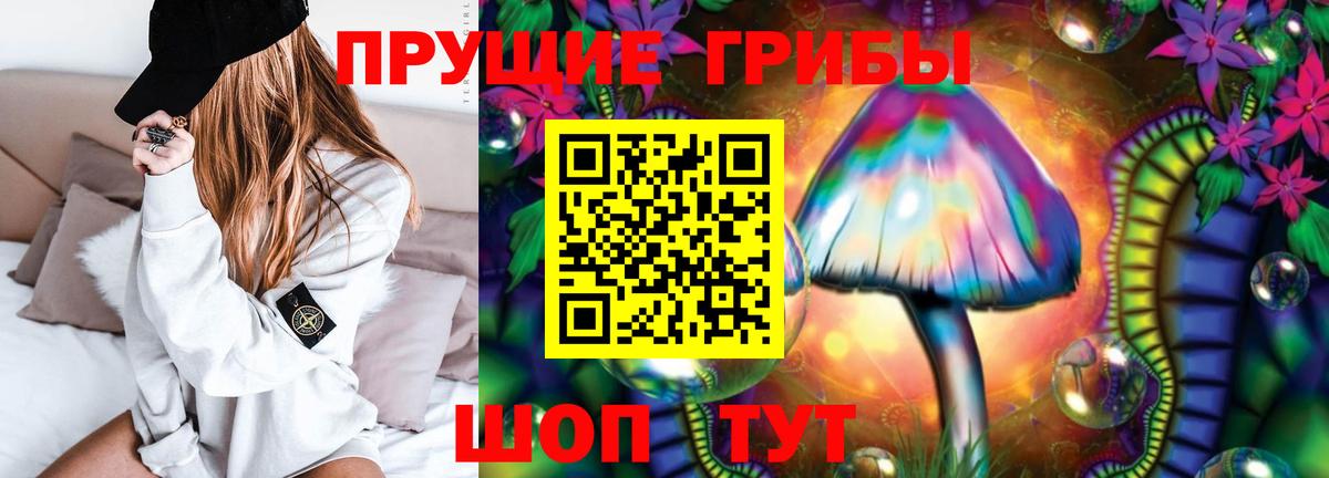 Архангельск  Псилоцибиновые грибы Psilocybe  Вход с VPN 